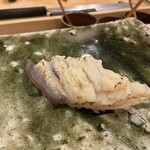 鮨桂太 - ホッキガイ