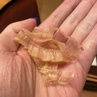 日本料理 太月 - 