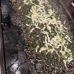 浅草もんじゃ もきち - 