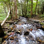 アルペンローゼ - .....梓川右岸コース.....このような清流がいくつか.....