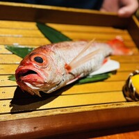 のどぐろ専門 銀座中俣 はなれ - 