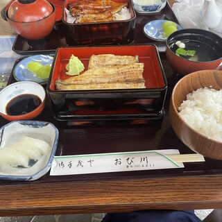 うなぎのねどこ おび川_1
