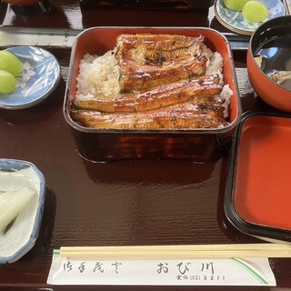 うなぎのねどこ おび川_0