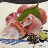 竹ざき - 横輪､浜鯛､浪人鯵､金目鯛の炙りの造り