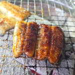 焼鰻 - 
