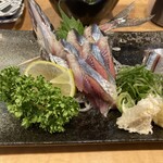 大翔 - 秋刀魚　刺身