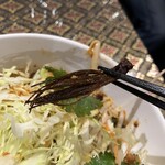 バンハオ - コレがギョーです。
宇宙虫みたいでせう？