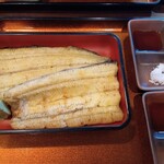 浜名湖うなぎ 丸浜 - 