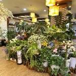 Hamcho Ganjanggejang - 