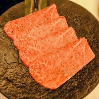 PONGA PREMIUM - トモ三角