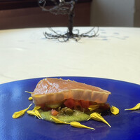 Convivio - 京都のシラカワカジキ、表面をさっと炙って、あおみのきゅうりのピュレ、キャベツのピクルスのソース添えあ