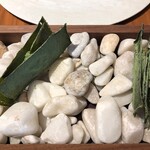 ル スプートニク - 2025/9/6