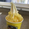 Dole Plantation - 