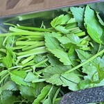 クルバム - セリ追加