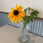 桃花水 - お花٩(^‿^)۶