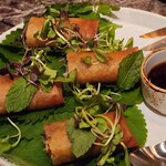 THE PIG ＆ THE LADY - 