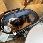 SHOZO COFFEE KARUIZAWA - 