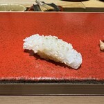 博多 鮨 まつもと - やりいか