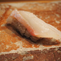 寿し あや瀬 - 真鯛（愛媛）