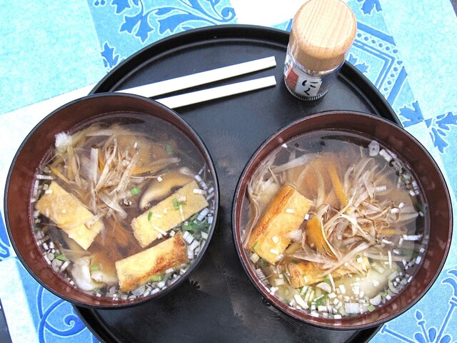 木偶の坊（噂のひっつみ） - 仙北町（麺類）の写真