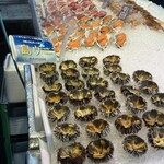 糸満漁業協同組合 お魚センター - 