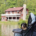 SHOZO COFFEE KARUIZAWA - 軽井沢タリアセン（塩沢湖）