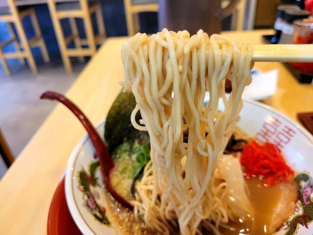 hakatatonkouramensakabahamachan photo 2