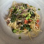 ノガラッツァ - 