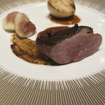 スガラボヴィー - 和歌山紀州鴨　