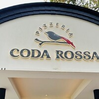 CODA ROSSA - 