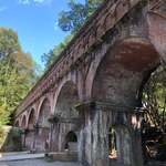 イカリヤ食堂 - 