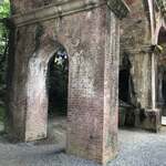 イカリヤ食堂 - 