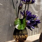 割烹蒲焼 横浜八十八 - お花も高級