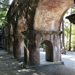 イカリヤ食堂 - 