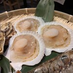 蒸蒸酒場 カイフォルニア - 