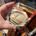 蒸蒸酒場 カイフォルニア - 