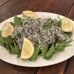 イタリア食堂 ジラソーレ - 