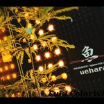 北新地 うえはら - 