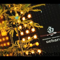 北新地 うえはら - 