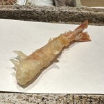 日本橋 蕎ノ字 - 車海老