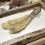 日本橋 蕎ノ字 - 江戸前　メゴチ