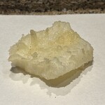 日本橋 蕎ノ字 - 駿河湾　アオリイカ