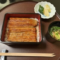 割烹 蒲焼 大沼 - 