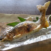 四季の郷志むら - 飛騨で有名な天然のブランド鮎 ”和良鮎”。