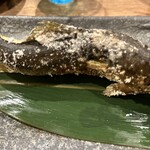 越後屋 彦左衛門 - 