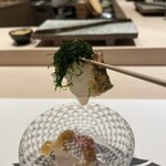 熟成鮨利他 難波 心斎橋 - 