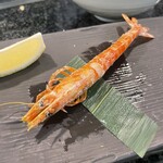 みなと寿司 総本店 - 