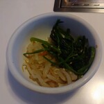 ぴょんぴょん舎 - ミニナムル