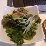 ぴょんぴょん舎 - ミニセンナムルサラダ