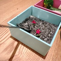 恵比寿ビストロ 猫も杓子も - 